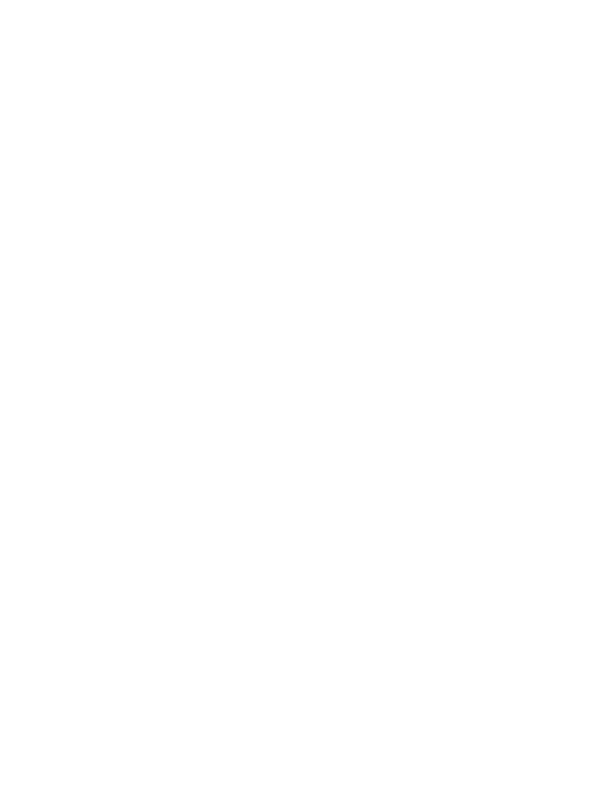 Secure access scaffolding logo